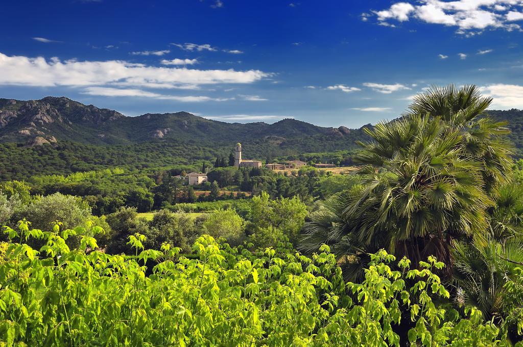 Suites Natura Mas Tapiolas Santa Cristina d'Aro Room photo